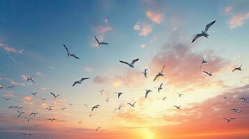 Group of white birds flying in the air. silhouette concept photo