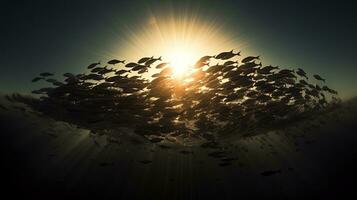 Silhouetted fish shoal in sunset photo