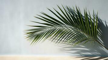Shadow of palm tree on wall during summer. silhouette concept photo