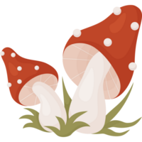 flyga agaric svamp i gräs png