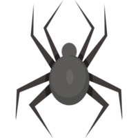 spider hand drawn png