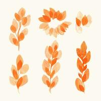 Set of various hand painted orange stems with leaves. Herbal watercolor elements for design. Tree art desing. Isolated on white background. vector