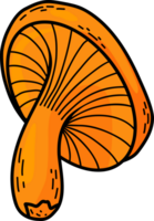 forest mushroom chanterelle png