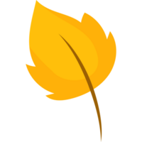 saisonnier l'automne feuille png