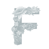 lettera f floreale alfabeto png