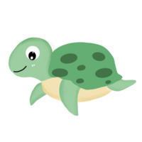 Sea turtle tortoise png
