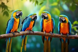 Colorful macaws sitting on a branch in the forest, Thailand. Beautiful macaws in the jungle. Blue and yellow macaw, AI Generated photo