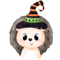 söt halloween djur, djur- bär hatt, halloween hatt, häxa hatt png