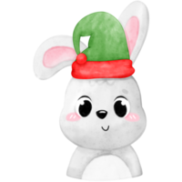 mignonne animal porter Noël chapeau, Noël animal, Noël chapeau png