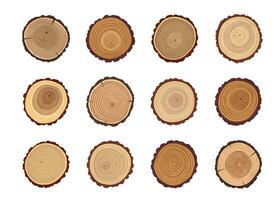 Tree trunks or wood cut stumps with annual circles vector