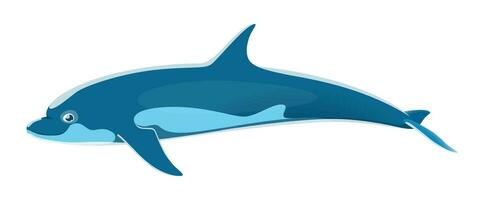 Sea dolphin animal character, marine creature vector