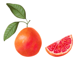 Fresh juicy grapefruit with a quarter and leaves. Healthy food. Fruits for packaging, juices, menus. Illustration with markers and watercolor.Hand drawn isolated art. png