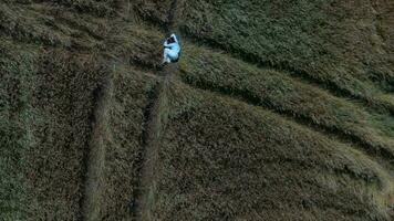 an aerial view of a woman in a field video