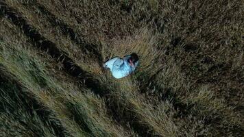 an aerial view of a person walking through a field video