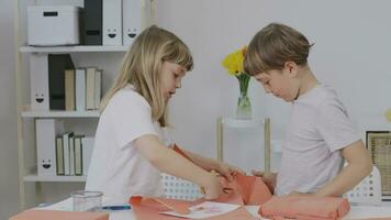 Brother and the sister prepare present for their mother video