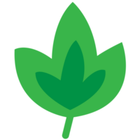 groen bomen bladeren png