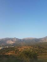 rural ver de distante aceituna arboledas en un Mediterráneo paisaje foto