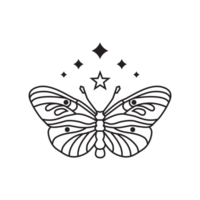 boho butterfly illustration png