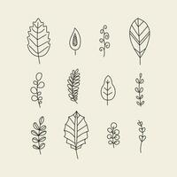 Set of Leaves and Branch. Outline Palm leaf and Olive Branch In a Trendy Minimalist Style vector