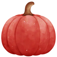 acuarela rojo calabaza ilustración png