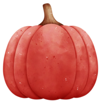 acuarela rojo calabaza ilustración png