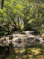 small waterfall and a green lagoon hidden in the oak forests of Portugal photo