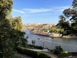 View of Portuguese red-tiled houses and the Douro River from Crystal Palace Gardens photo