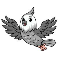 Cute whiteface cockatiel bird cartoon vector