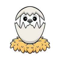 Cute whiteface cockatiel bird cartoon inside from egg vector