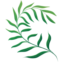Green Leaf Watercolor png