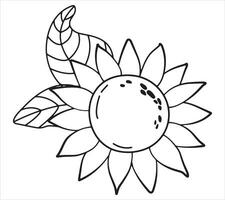 Sunflower. Linear style. White background, isolate. vector