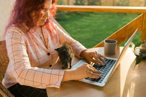 Work from home or study online and videocall with a woman gardener working at laptop outdoor on terrace with kitten, sitting on ratang chair around houseplant and flower pots photo