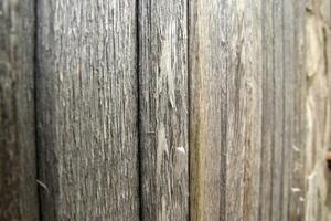 Wooden wall texture photo