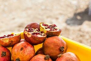 pomegranates close-up top view photo