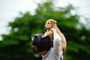 little girl and dog Love between man and dog Bonding of children and intelligent pets playing in the backyard love concept photo