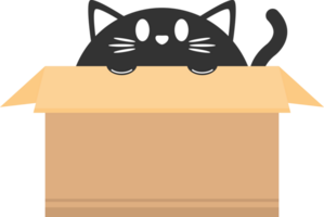 cute black cat in paper crate box funny cartoon character png