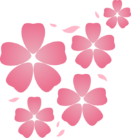 rosado sakura flores con pétalos japonés estilo png