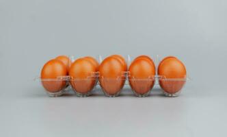 fresh chicken eggs, clean eggs, poultry eggs, high protein diet, breakfast photo