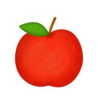 Red Apple Watercolor Illustration png