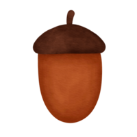 Brown Acorn Watercolor Illustration png