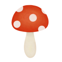 illustration aquarelle champignon rouge png