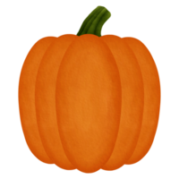 Orange Pumpkin Watercolor Illustration png