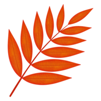 Red Orange Sumac Leaf Watercolor Illustration png