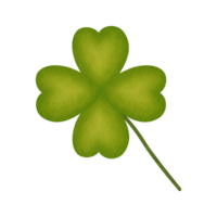 Clover Green Leaf Watercolor Illustration png