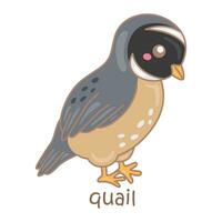 Alphabet Q For Quail Vocabulary School Lesson Cartoon Illustration Vector Clipart Sticker