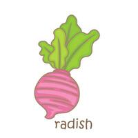 Alphabet R For Radish Vocabulary School Lesson Cartoon Illustration Vector Clipart Sticker