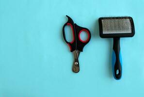 Scissors for trimming claws and a comb for a cat on a blue background, background with copy space. photo