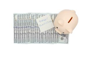 Money budget planning. Piggy bank with Dollars. financial goal concept. Finance and business concept. isolated background. photo