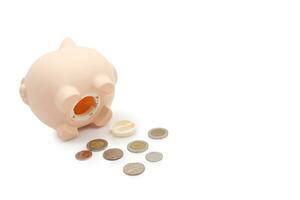 Open piggy bank with money on isolated background. getting money from a piggy bank. photo