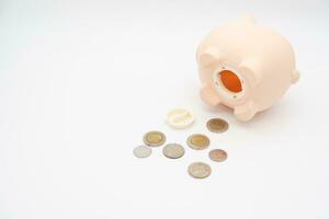 Open piggy bank with money on isolated background. getting money from a piggy bank. photo